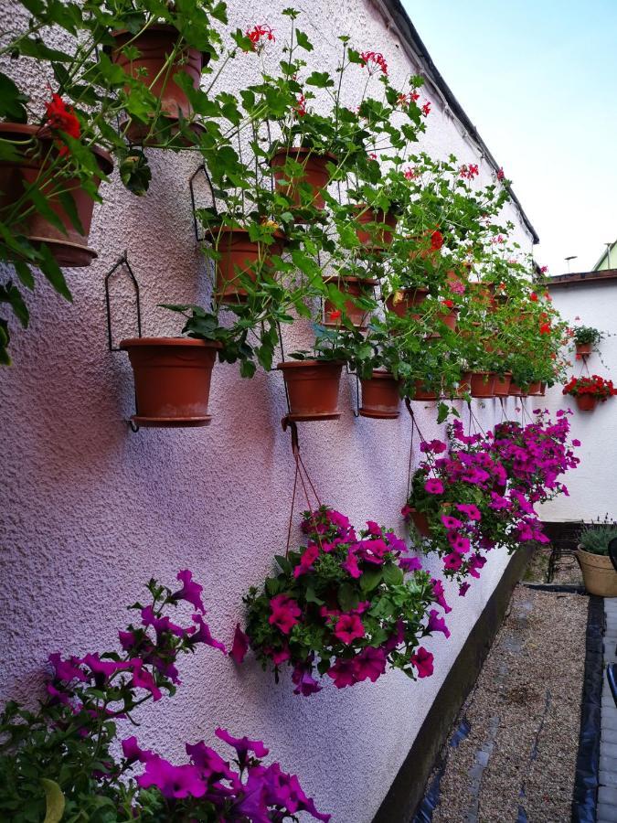 Homestay Goscinny Dom Kaola Rewal